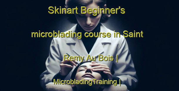 Skinart Beginner's microblading course in Saint Remy Au Bois | MicrobladingTraining | MicrobladingClasses | SkinartTraining-France